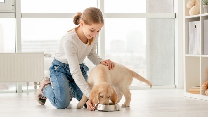A Comprehensive Guide to Choosing the Best Pet Food for Your Furry Friend